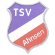 Avatar Bild für TSV Ahnsen