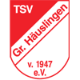 Avatar Bild für TSV Groß Häuslingen
