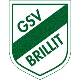 Avatar Bild für GSV Brillit
