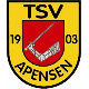 Avatar Bild für TSV Apensen