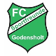 Avatar Bild für FC SF Godensholt