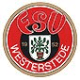 Avatar Bild für FSV Westerstede