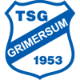 Avatar Bild für TSG Grimersum