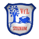 Avatar Bild für VFL Stenum