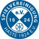 Avatar Bild für SVG Haste