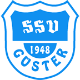 Avatar Bild für SSV Güster
