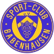 Avatar Bild für SC Babenhausen