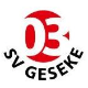 Avatar Bild für SV 03 Geseke