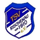 Avatar Bild für TSV Rischenau