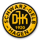 Avatar Bild für DJK SG 1920 Hagen