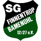Avatar Bild für SG Finnentrop-Bamenohl