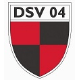 Avatar Bild für DSV 04 e.V. Lierenfeld