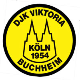 Avatar Bild für DJK Viktoria Buchheim