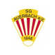 Avatar Bild für SG Auerbach