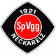 Avatar Bild für SpVgg. Neckarelz