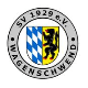 Avatar Bild für SV Wagenschwend