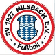Avatar Bild für SV Hilsbach