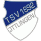 Avatar Bild für TSV Ittlingen
