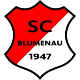 Avatar Bild für SC Blumenau