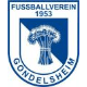 Avatar Bild für FV Gondelsheim