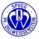 Avatar Bild für SpVgg Dillweißenstein