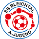 Avatar Bild für SV Broggingen