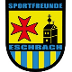 Avatar Bild für SF Eschbach