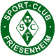 Avatar Bild für SC Friesenheim