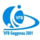 Avatar Bild für VfB Gaggenau 2001