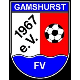 Avatar Bild für FV Gamshurst