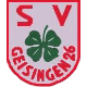 Avatar Bild für SV Geisingen