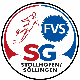 Avatar Bild für FV Stollhofen