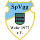 Avatar Bild für Spvgg Wehr