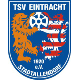 Avatar Bild für TSV Eintr.Stadtallendorf