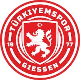Avatar Bild für Türkiyemspor Gießen