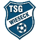 Avatar Bild für TSG Gießen-Wieseck
