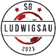 Avatar Bild für TSV Mecklar