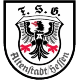 Avatar Bild für FSG Altenstadt