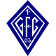 Avatar Bild für 1. Gelnhäuser FC
