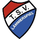 Avatar Bild für TSV Lämmerspiel