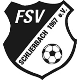 Avatar Bild für FSV Schlierbach