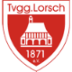 Avatar Bild für Tvgg. Lorsch
