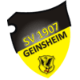 Avatar Bild für SV 1907 Geinsheim