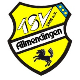 Avatar Bild für TSV Allmendingen