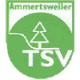 Avatar Bild für TSV Ammertsweiler