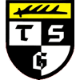 Avatar Bild für TSG Balingen