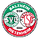 Avatar Bild für SV Balzheim