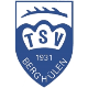Avatar Bild für TSV Berghülen