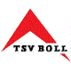 Avatar Bild für TSV Boll