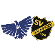 Avatar Bild für SV Dalkingen